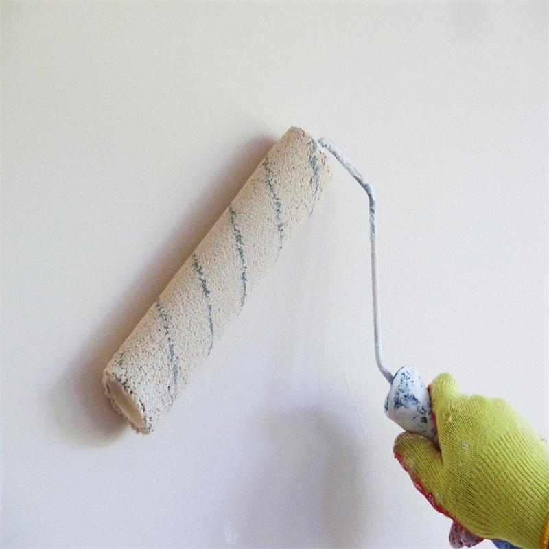 Hand, Roller Brush, Apply Primer, Wall